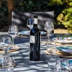 Une bouteille de vin rouge est prête pour un apéro dinatoire en extérieur, entourée de verres et d'assiettes sur une table de jardin.