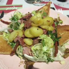 Salade périgourdine avec pommes de terre, magret, foie gras et toasts. Quel vin avec une salade périgourdine ? Un Bergerac rouge léger.