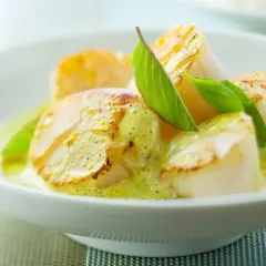 Délicieuses noix de saint-jacques poêlées, nappées d'une sauce onctueuse au curry et vin blanc, garnies de feuilles vertes.