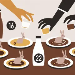 Des lapins sur des assiettes, des bouteilles et des mains versant des liquides. Quel vin avec du lapin ? Les chiffres suggèrent des choix.