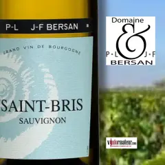 Bouteille de Saint-Bris Sauvignon, un vin de Bourgogne idéal en accompagnement. Le domaine J-F Bersan est mis en avant.