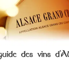 Étiquette "Alsace Grand Cru" sur une bouteille, évoquant un millésime d'Alsace. Le texte "Le guide des vins d'Alsace" apparaît en bas.