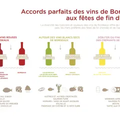 Accord parfait : quel vin de Bordeaux avec le fromage ? Ce guide illustre les accords mets et vins pour les fêtes, du bœuf au fromage à pâte dure.