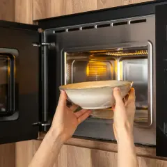 Une personne place une assiette dans un micro-ondes. La question "peut on mettre une assiette au micro-onde" est pertinente ici.