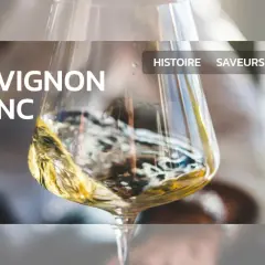 Guide du **sauvignon blanc avec quoi** ? Un verre de vin blanc tourbillonne, révélant ses arômes. Histoire, saveurs, régions.