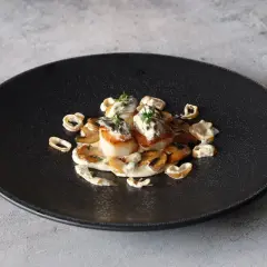 Coquilles Saint-Jacques aux morilles et leur sauce crémeuse au vin blanc, garnies de thym frais. Un délice visuel et gustatif.