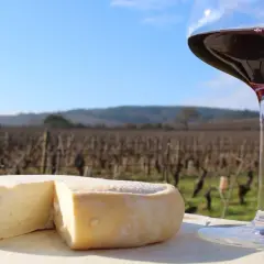 Un fromage à pâte molle et un verre de vin rouge, parfaits pour accompagner un millésime Pommard, devant un vignoble par un jour ensoleillé.