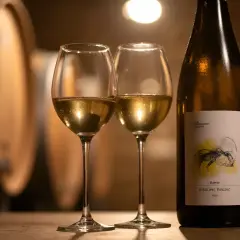 Deux verres de riesling alsace dorés, une bouteille et des fûts de chêne en arrière-plan, dans une cave à vin.