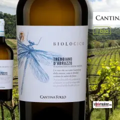Bouteille de vin blanc Trebbiano d'Abruzzo biologique, avec une libellule dessinée, devant un vignoble verdoyant.