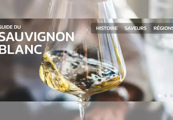 Guide du **sauvignon blanc avec quoi** ? Un verre de vin blanc tourbillonne, révélant ses arômes. Histoire, saveurs, régions.