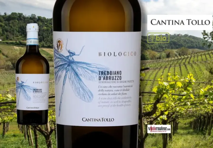 Bouteille de vin blanc Trebbiano d'Abruzzo biologique, avec une libellule dessinée, devant un vignoble verdoyant.