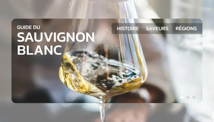 Guide du **sauvignon blanc avec quoi** ? Un verre de vin blanc tourbillonne, révélant ses arômes. Histoire, saveurs, régions.