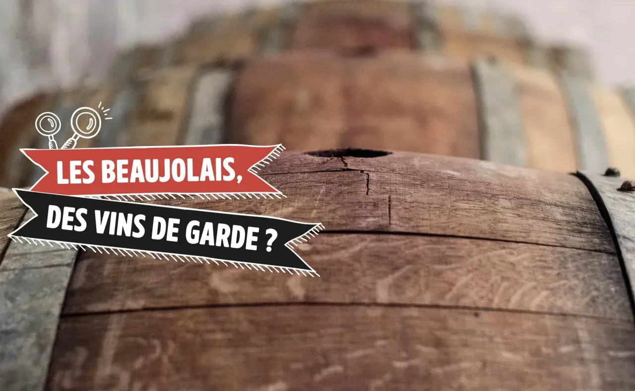 Des tonneaux de vin en bois, avec le texte "Les Beaujolais, des vins de garde ?". Combien de temps se garde un Beaujolais Village ?