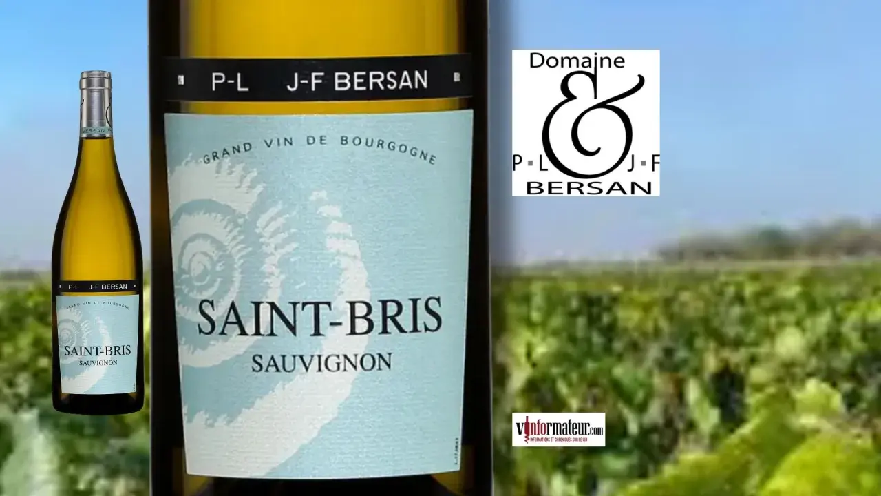 Bouteille de Saint-Bris Sauvignon, un vin de Bourgogne idéal en accompagnement. Le domaine J-F Bersan est mis en avant.