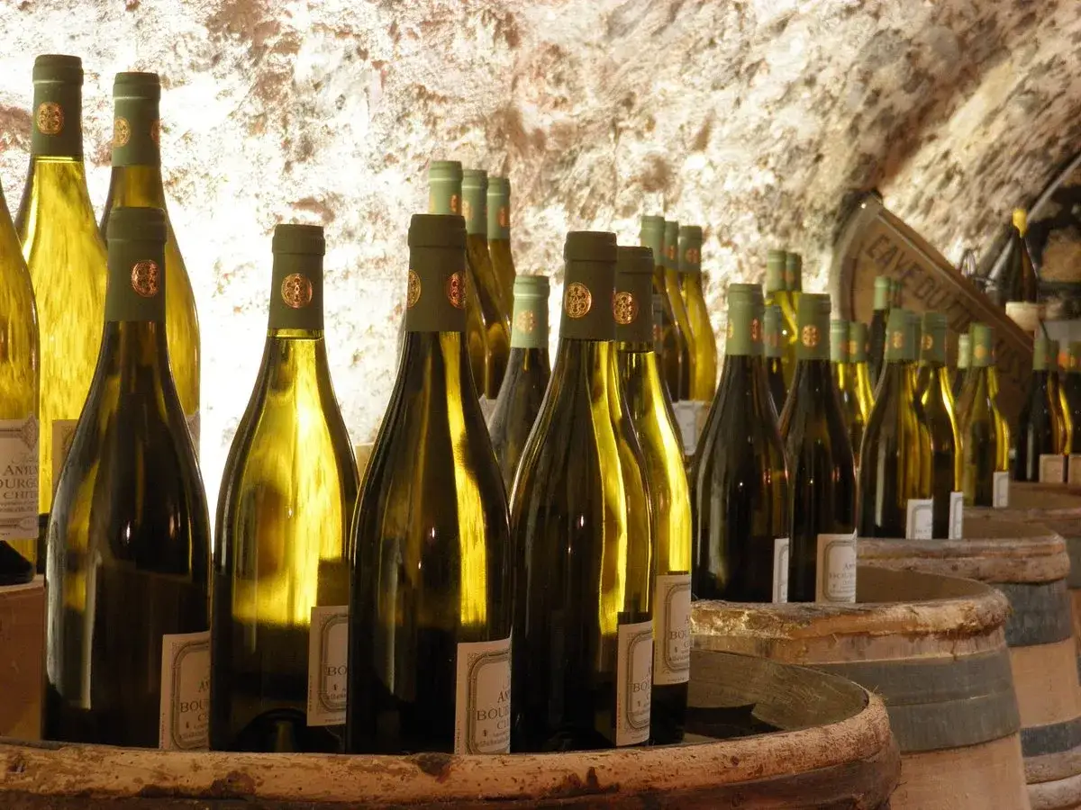 Bouteilles de vin blanc alignées dans une cave, prêtes pour la conservation du Chablis.