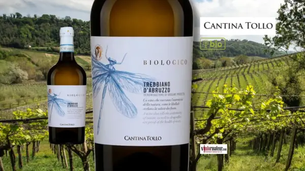 Bouteille de vin blanc Trebbiano d'Abruzzo biologique, avec une libellule dessinée, devant un vignoble verdoyant.